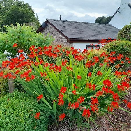 Auld Ffynnon Villa Brecon Buitenkant foto