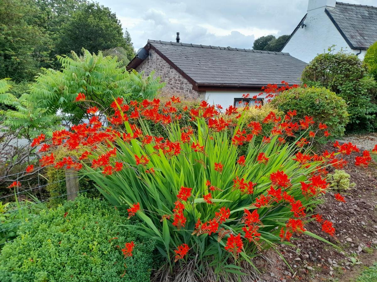 Auld Ffynnon Villa Brecon Buitenkant foto
