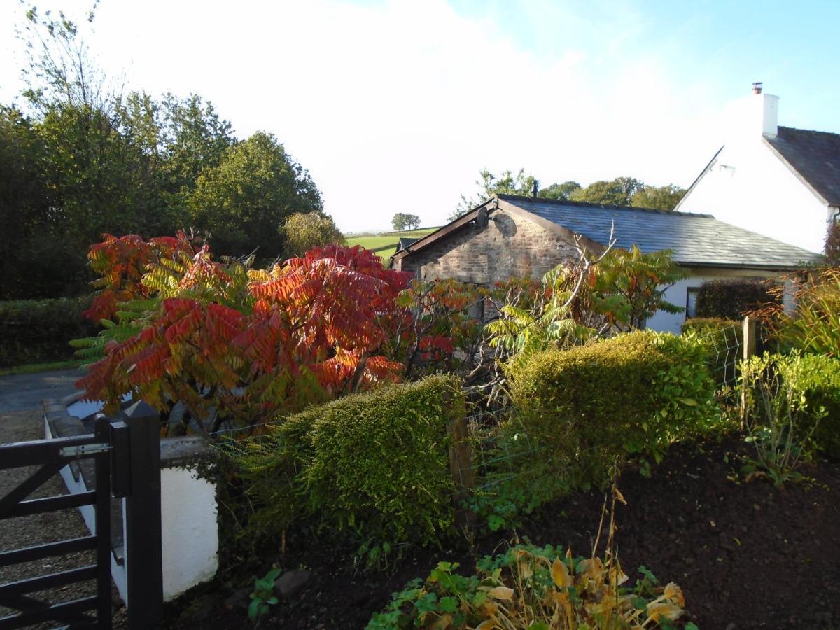 Auld Ffynnon Villa Brecon Buitenkant foto